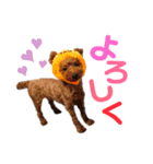 毎日使える！ベルのきもち2。（個別スタンプ：3）