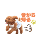 毎日使える！ベルのきもち2。（個別スタンプ：5）
