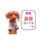毎日使える！ベルのきもち2。（個別スタンプ：8）