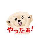 動く！かわいい犬のマルちゃん 2（個別スタンプ：12）