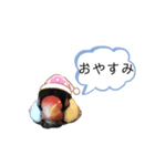 文鳥のうめっち2（個別スタンプ：7）