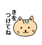 猫のお留守番スタンプ（個別スタンプ：13）