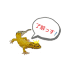 ハリガネ シゲ 3（個別スタンプ：1）