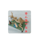ハリガネ シゲ 3（個別スタンプ：5）
