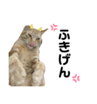 ねこにゃんにゃん452398751969（個別スタンプ：6）