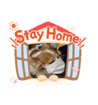 チャロわん（個別スタンプ：3）