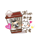 チャロわん（個別スタンプ：7）