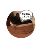 ムクさん（個別スタンプ：3）