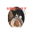 ムクさん（個別スタンプ：4）