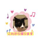 ムクさん（個別スタンプ：8）