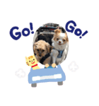 とむそん＆ちょこん（個別スタンプ：14）