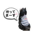 モフモフチベタンズのスタンプ（個別スタンプ：1）