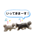 モフモフチベタンズのスタンプ（個別スタンプ：15）