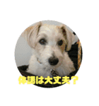 CIMA＆マロン2（個別スタンプ：4）