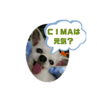 CIMA＆マロン2（個別スタンプ：7）