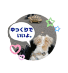 CIMA＆マロン2（個別スタンプ：9）