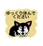 黒柴のクーちゃん（個別スタンプ：17）