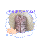 サバとビビのスタンプ①（個別スタンプ：2）