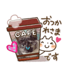 サバとビビのスタンプ①（個別スタンプ：6）