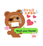 トイプーのげんちゃん（個別スタンプ：2）