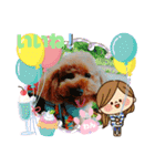 トイプーのげんちゃん（個別スタンプ：5）