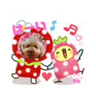 トイプーのげんちゃん（個別スタンプ：7）