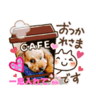 トイプーのげんちゃん（個別スタンプ：10）