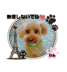 トイプーのげんちゃん（個別スタンプ：17）