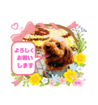 トイプーのげんちゃん（個別スタンプ：18）