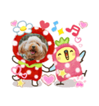 トイプーのげんちゃん（個別スタンプ：23）