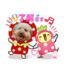 トイプーのげんちゃん（個別スタンプ：32）