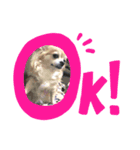 らんらんらんたんのすたんぷ（個別スタンプ：8）