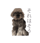 念入りに可愛い犬（個別スタンプ：18）