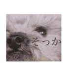 念入りに可愛い犬（個別スタンプ：32）