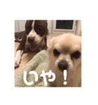 ❤❤限定❤❤（個別スタンプ：5）