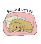 おあげすたんぷ（個別スタンプ：6）