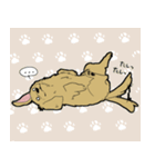おあげすたんぷ（個別スタンプ：9）
