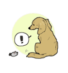 おあげすたんぷ（個別スタンプ：10）
