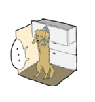 おあげすたんぷ（個別スタンプ：13）