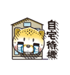 猫チーター☆2 [リモート関連会話]（個別スタンプ：9）