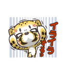 猫チーター☆2 [リモート関連会話]（個別スタンプ：16）