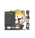 猫チーター☆2 [リモート関連会話]（個別スタンプ：18）