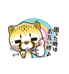 猫チーター☆2 [リモート関連会話]（個別スタンプ：24）