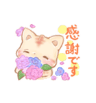 にゃんちゃんの敬語（個別スタンプ：3）