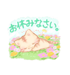 にゃんちゃんの敬語（個別スタンプ：17）