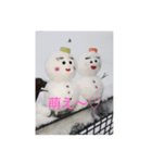 りゅうりゅうまいすたんぷ（個別スタンプ：5）