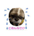 かわいい親子（個別スタンプ：2）