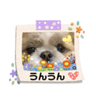 かわいい親子（個別スタンプ：10）
