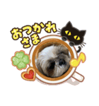 かわいい親子（個別スタンプ：12）