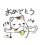まねきネコお祝いスタンプ（個別スタンプ：1）